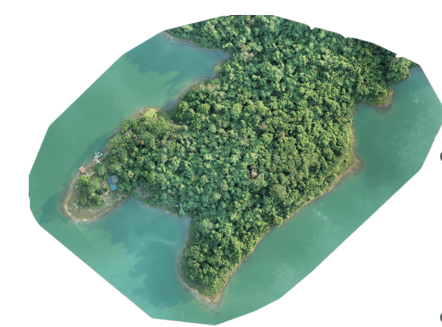 Dự án DORA: open Drone data platfOrm for biodiveRsity mApping